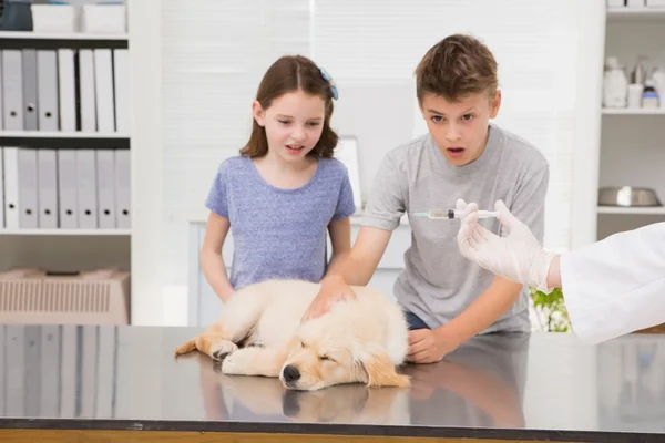 Vet examining dog with its scared owner