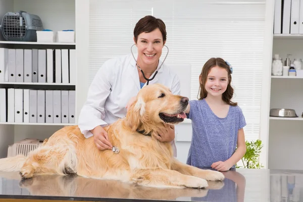 Veterinario cane esaminatore con il suo proprietario — Foto Stock
