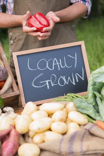 Agricoltore che vende carne biologica sul mercato — Foto Stock