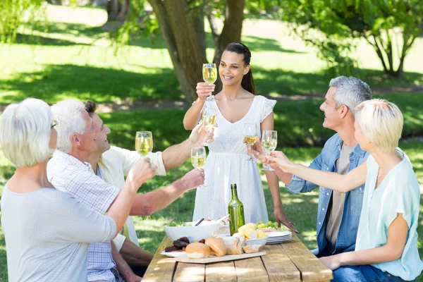 Brunette toasting with her family — Stock Photo, Image