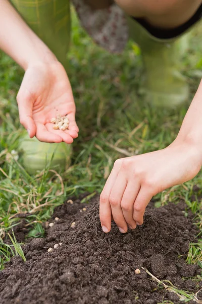 Vrouw planten in een veld — Stockfoto