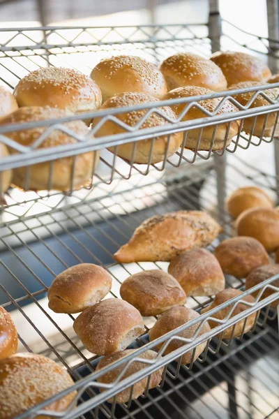 Exposição de pães recém-assados — Fotografia de Stock