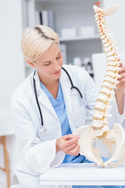 Arzt mit anatomischer Wirbelsäule in Klinik — Stockfoto