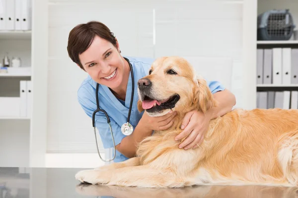 Veterinário sorrindo examinando cão bonito — Fotografia de Stock