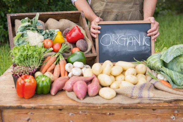 Rolnik w sprzedaży ekologicznych warzyw na rynku — Zdjęcie stockowe