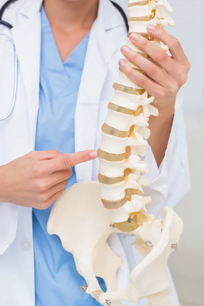 Female doctor with anatomical spine — Stock Photo, Image