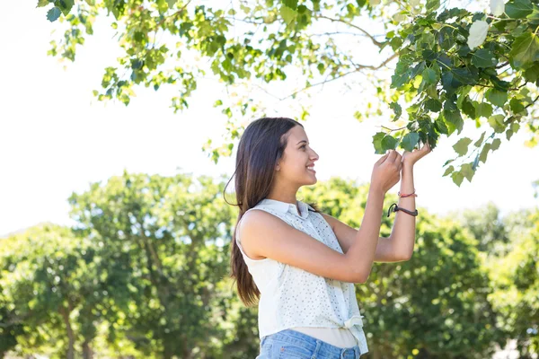 Půvabná brunetka s úsměvem v parku — Stock fotografie