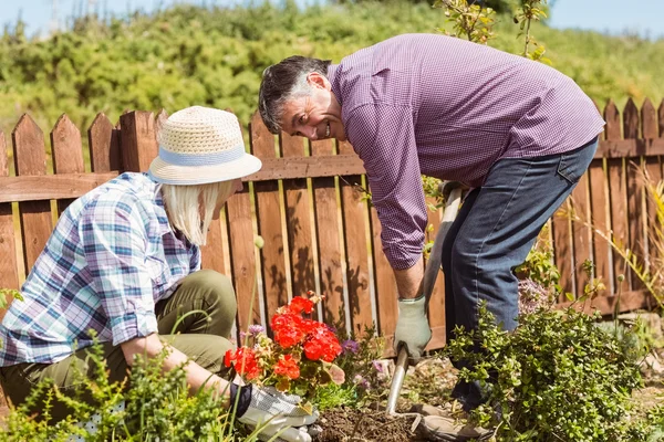 Feliz casal maduro jardinagem juntos — Fotografia de Stock