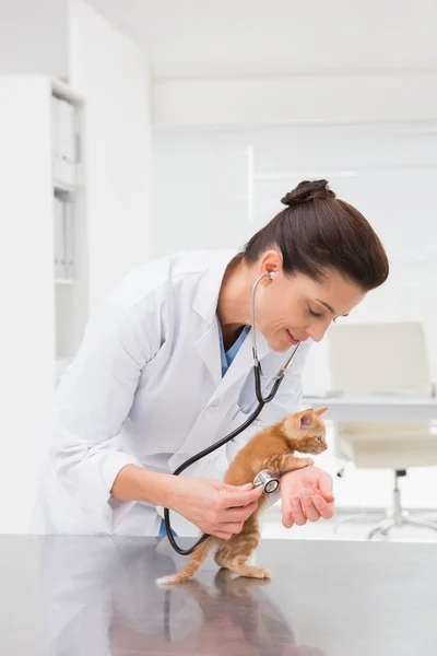 Veterinario examinando gato con estetoscopio — Foto de Stock