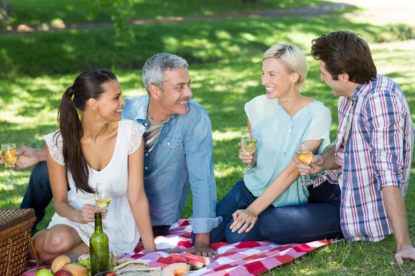 Glückliche Paare beim Picknick im Park — Stockfoto