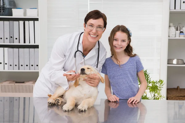 Vet examinando um cão com seu dono — Fotografia de Stock