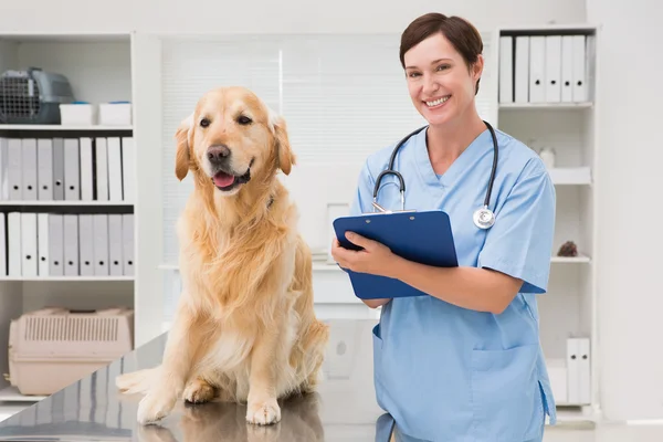 Veterinaria examinando perro y escritura en portapapeles — Foto de Stock