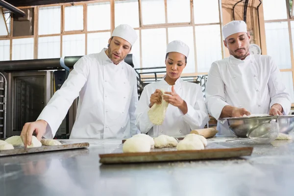 Concentrated colleagues kneading uncooked dough — Stock Photo, Image