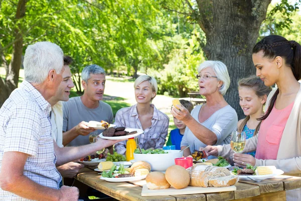 Famiglia che fa picnic nel parco — Foto Stock