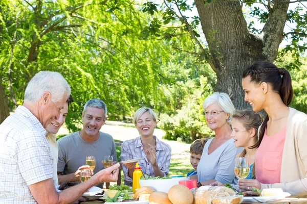 Glückliche Familie beim Picknick im Park — Stockfoto