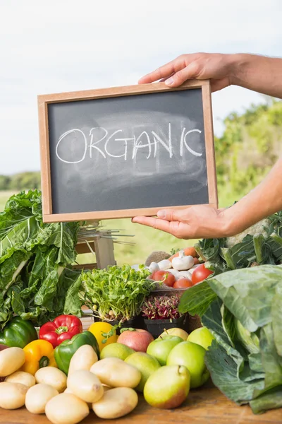 Agricultor vendiendo sus productos orgánicos — Foto de Stock