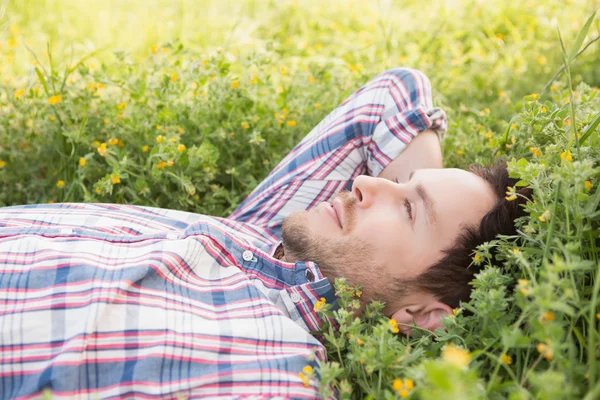 Красивый мужчина расслабляется в поле — стоковое фото