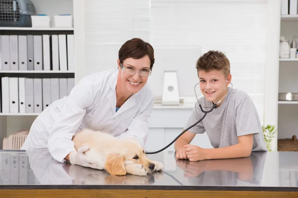 Veterinario cane esaminatore con il suo proprietario — Foto Stock