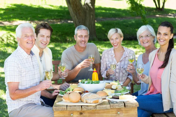 Family having picnic in park — Stock Photo, Image