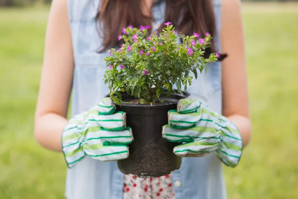 鉢植えの花を持って幸せな女 — ストック写真