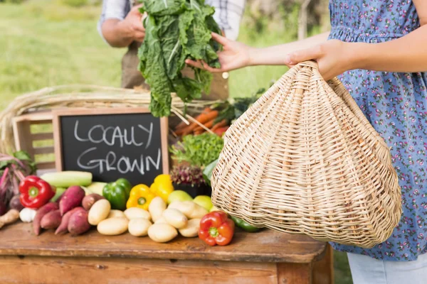 Farmer selling his organic produce — Stock Photo, Image