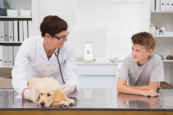 Veterinaria examinando a un perro con su dueño —  Fotos de Stock