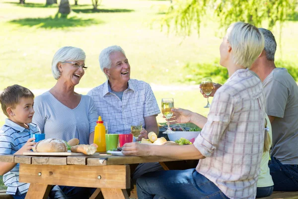 Familia haciendo picnic en el parque —  Fotos de Stock