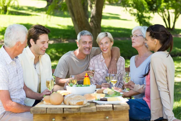 Familia haciendo picnic en el parque —  Fotos de Stock