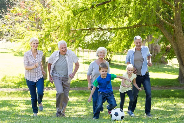 Mutlu aile top oynarken — Stok fotoğraf