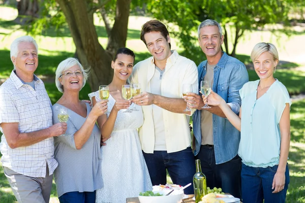 Glad familj grillas i parken — Stockfoto