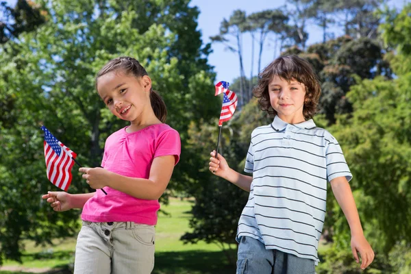 Amerikan bayrağı sallayarak küçük kardeşler — Stok fotoğraf