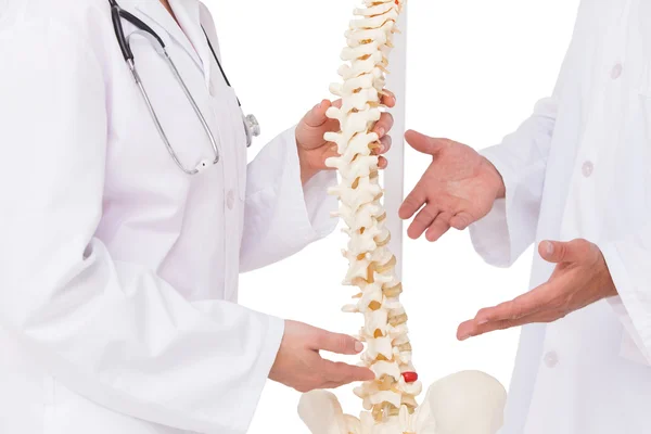 Médicos discutiendo modelo de columna vertebral —  Fotos de Stock