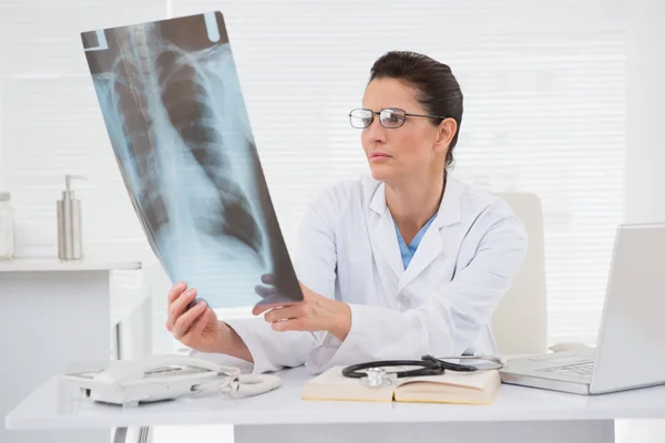 Doctor looking at scans — Stock Photo, Image