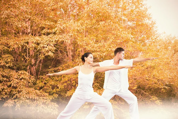 Savaşçı pozisyonda birlikte yoga yaparken çift — Stok fotoğraf