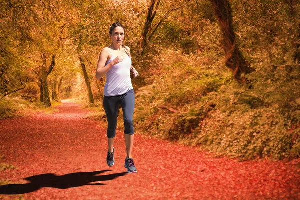 Focused fit bionda jogging — Foto Stock