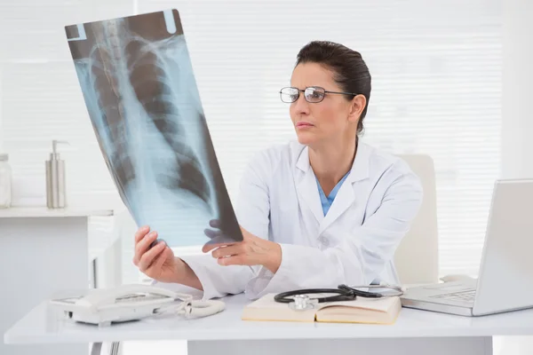 Doctor looking at scans Stock Picture