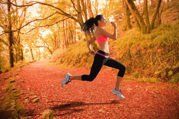 Tam sağlıklı kadın koşu uzunluğu — Stok fotoğraf