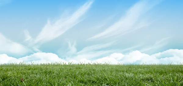 Campo e cielo — Foto Stock