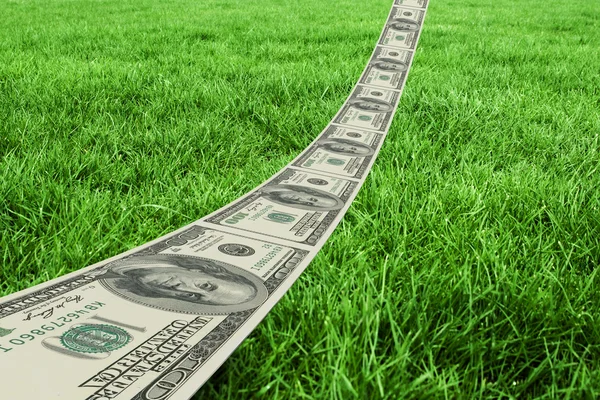 Дорога на доллар против травы — стоковое фото