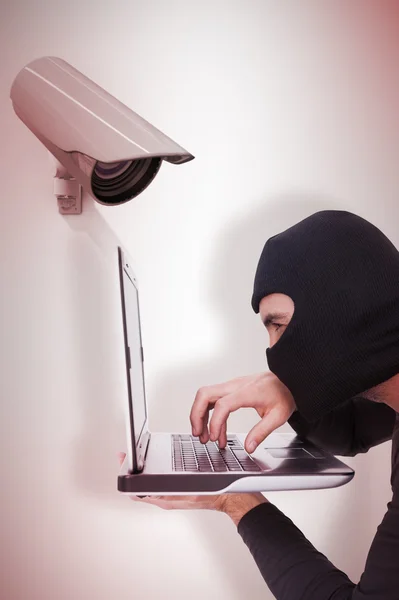 Focused burglar with balaclava typing on laptop — Stock Photo, Image