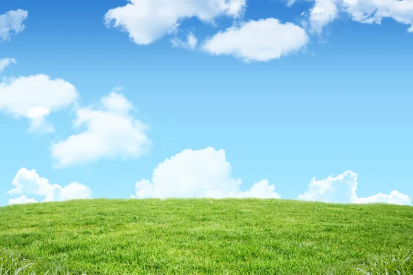 Campo e céu com nuvens brancas — Fotografia de Stock