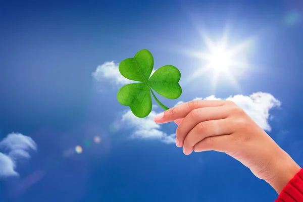 Shamrock bileşik görüntü — Stok fotoğraf