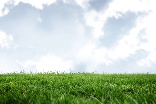 Campo verde e céu azul — Fotografia de Stock