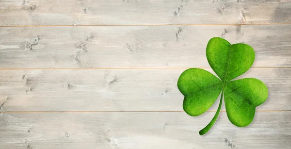 Zusammengesetztes Bild von Shamrock — Stockfoto