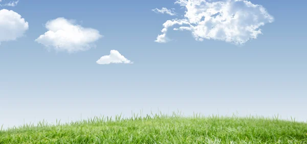 Green Field and sky — Stock Photo, Image