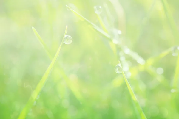 Composite image of green abstract light spot design — Stock Photo, Image