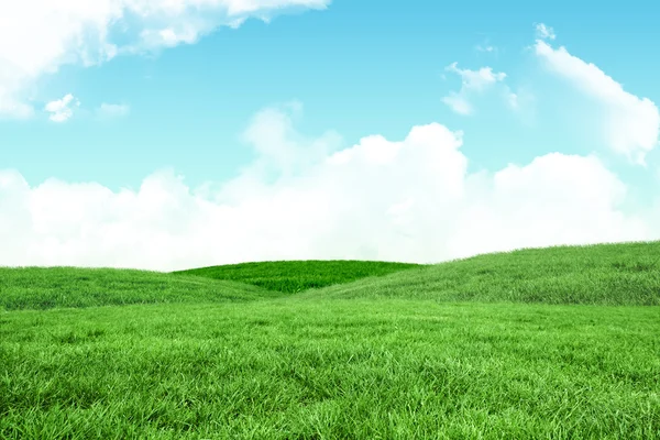 Green Field and sky — Stock Photo, Image