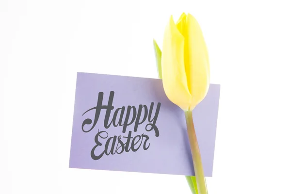 Composite image of happy easter — Stock Photo, Image