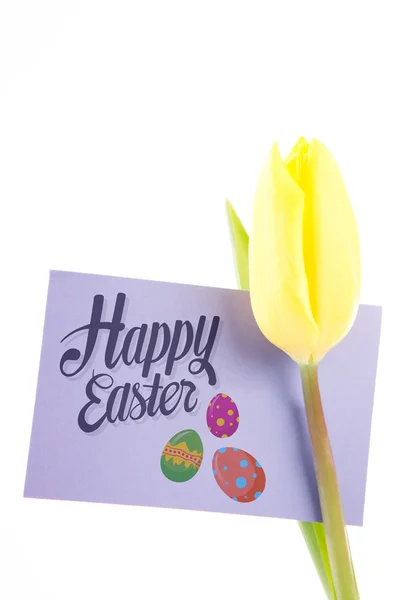 Composite image of happy easter — Stock Photo, Image