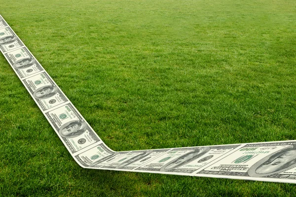 Dollar road against field — Stock Photo, Image